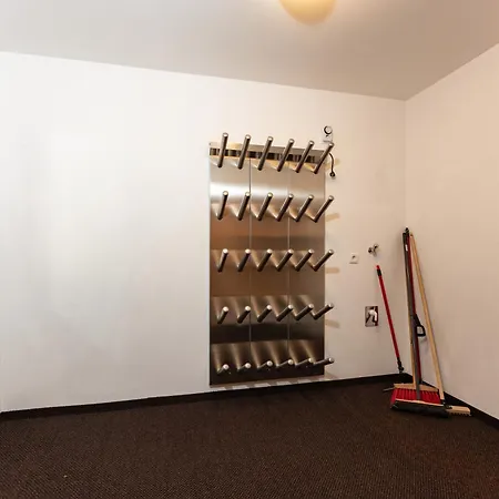 In/ski Out Berghof By Schladmingurlaub * シュラートミンク