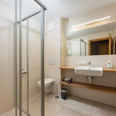 In/ski Out Berghof By Schladmingurlaub * シュラートミンク